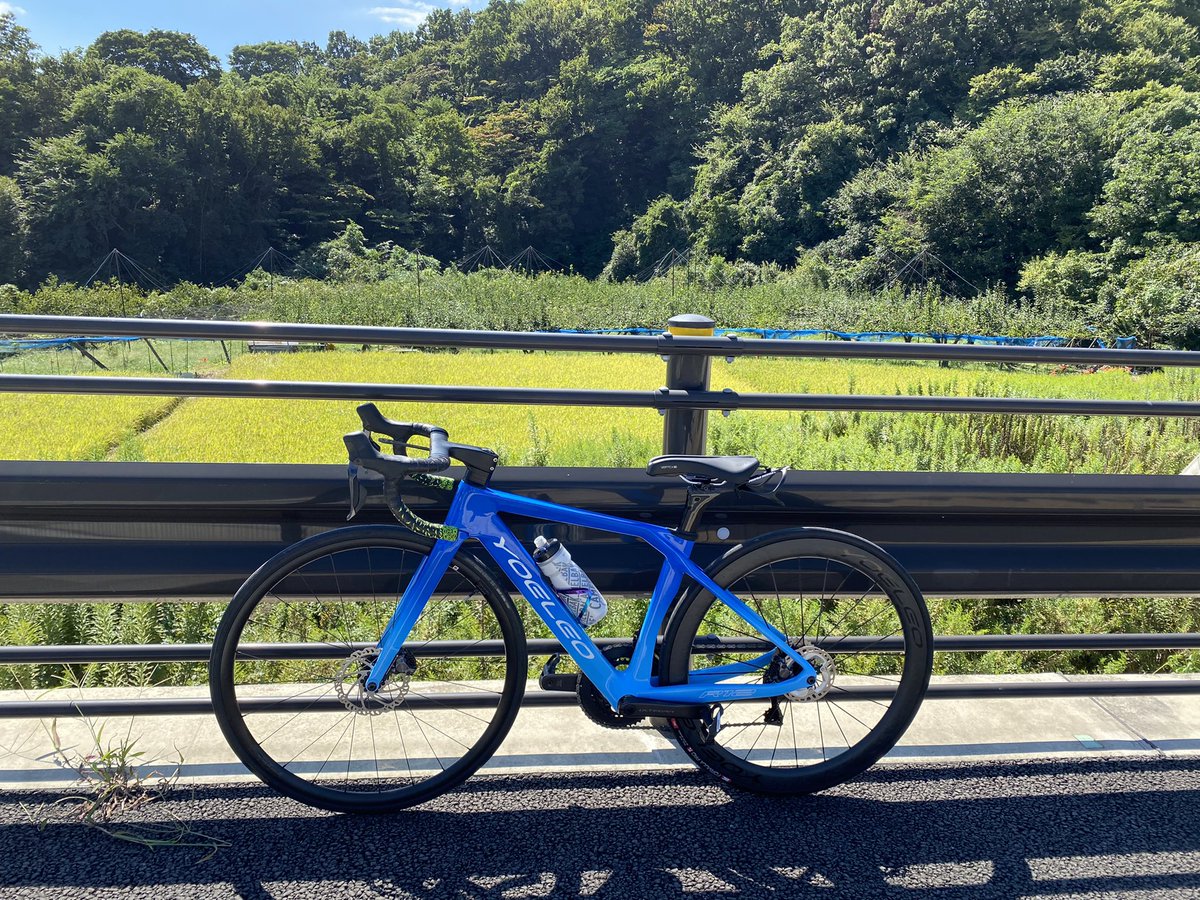 Apqqn's tweet photo. 🎊納車😻
yeoleo 納車しました！！！
写真で見ると青が濃いですが、実物だともうちょっと薄いです
まだ全然乗れてないので沢山乗っていきたいです！！強くなるぞー！！
@YoeleoJ #ロードバイク https://t.co/cARIEi9Ha2