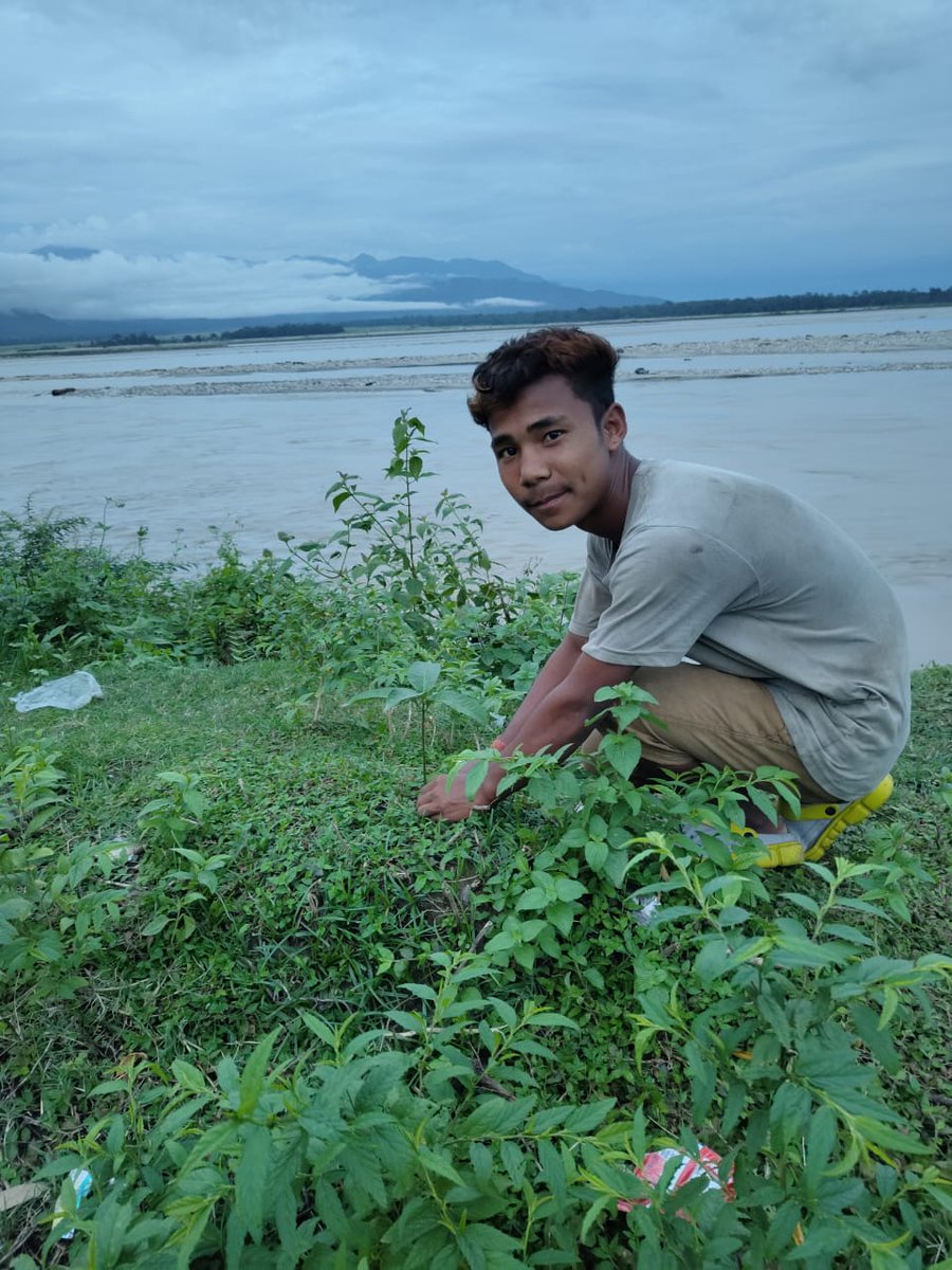 We pay tribute to #DindayalUpadhaya ji on his birth anniversary by planting some sapling on the bank of mighty siang river.
#AntyodayaDiwas 
@Nyksindia @YASMinistry @Inkhuanguang_RD @ianuragthakur @NyksPradesh @NITKM2021