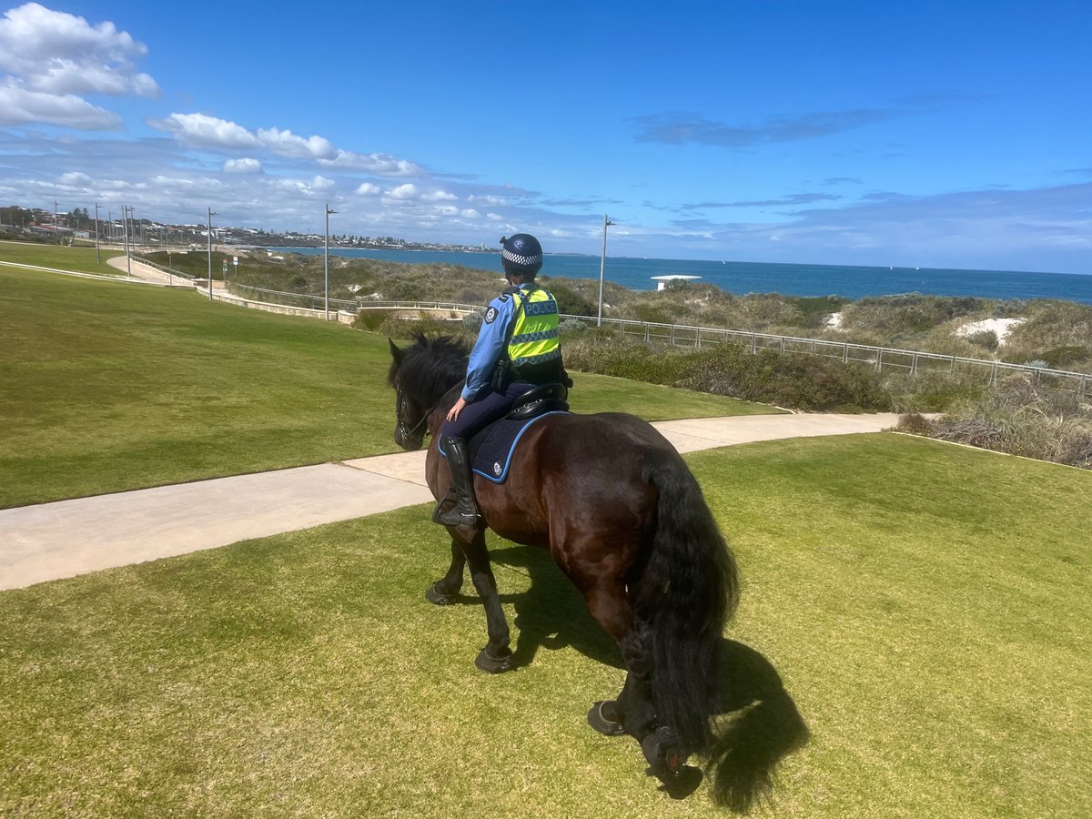 WA Police Force Mounted tweet media