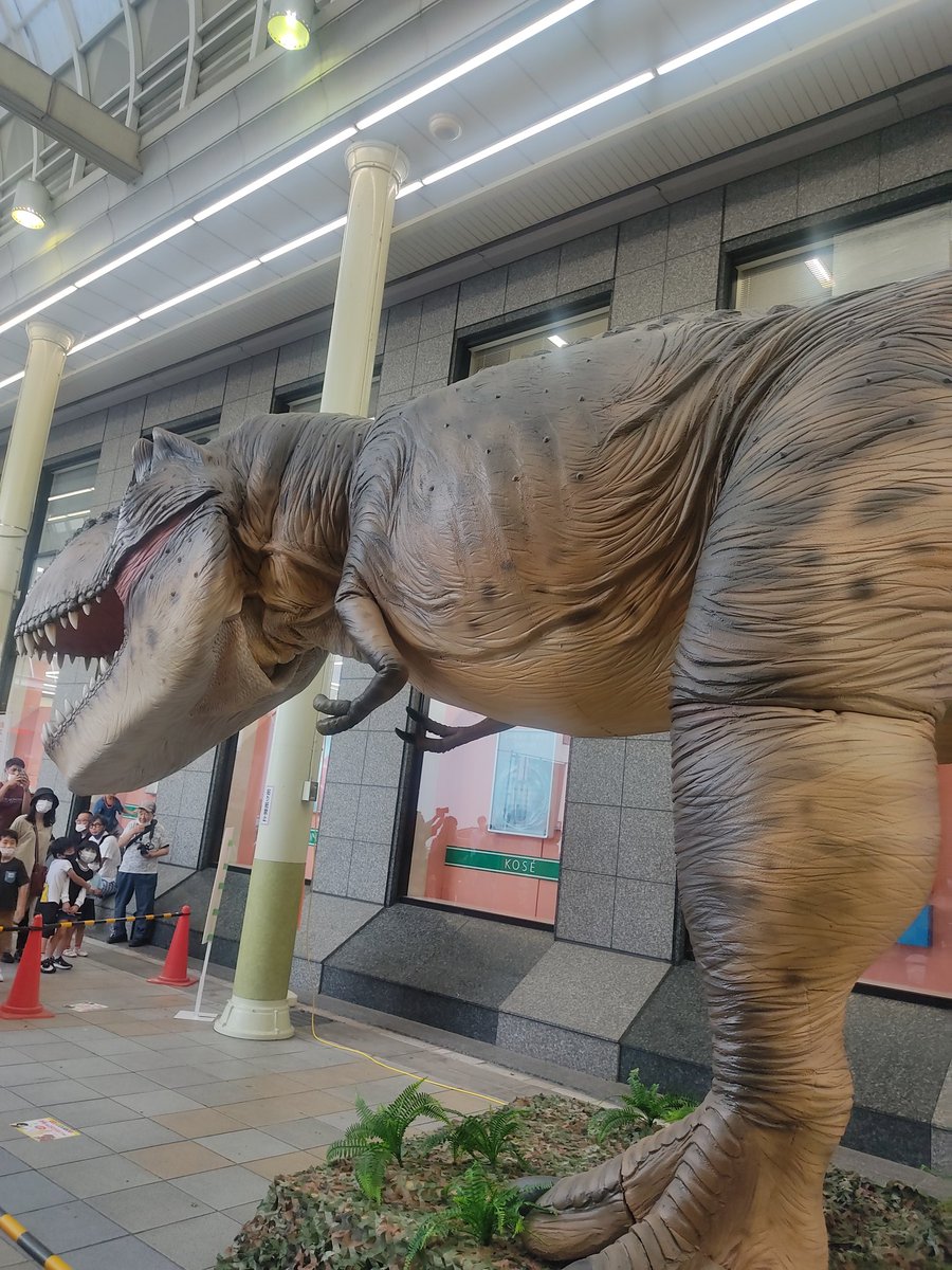 class1stoof's tweet image. 