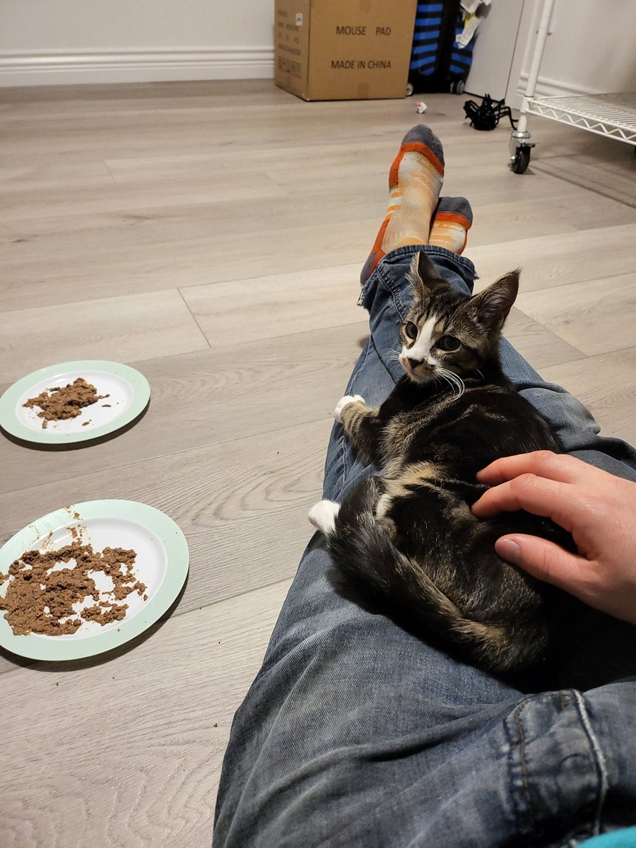Linus LinusMediaGroup tweet media