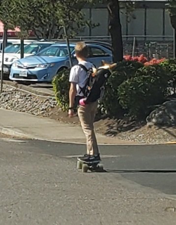 ericjohnkaiser's tweet photo. Driving back from the dog park today I saw a super hero
(Yes that's a #Corgy and the skateboard was electric 😉)
En revenant du parc après avoir promené mes chiens j'ai croisé un super héro... (et le skate était électrique)
👍👏💪
#dogsoftwitter #DogsOnTwitter #skateboarding https://t.co/JZmqs9y3SD