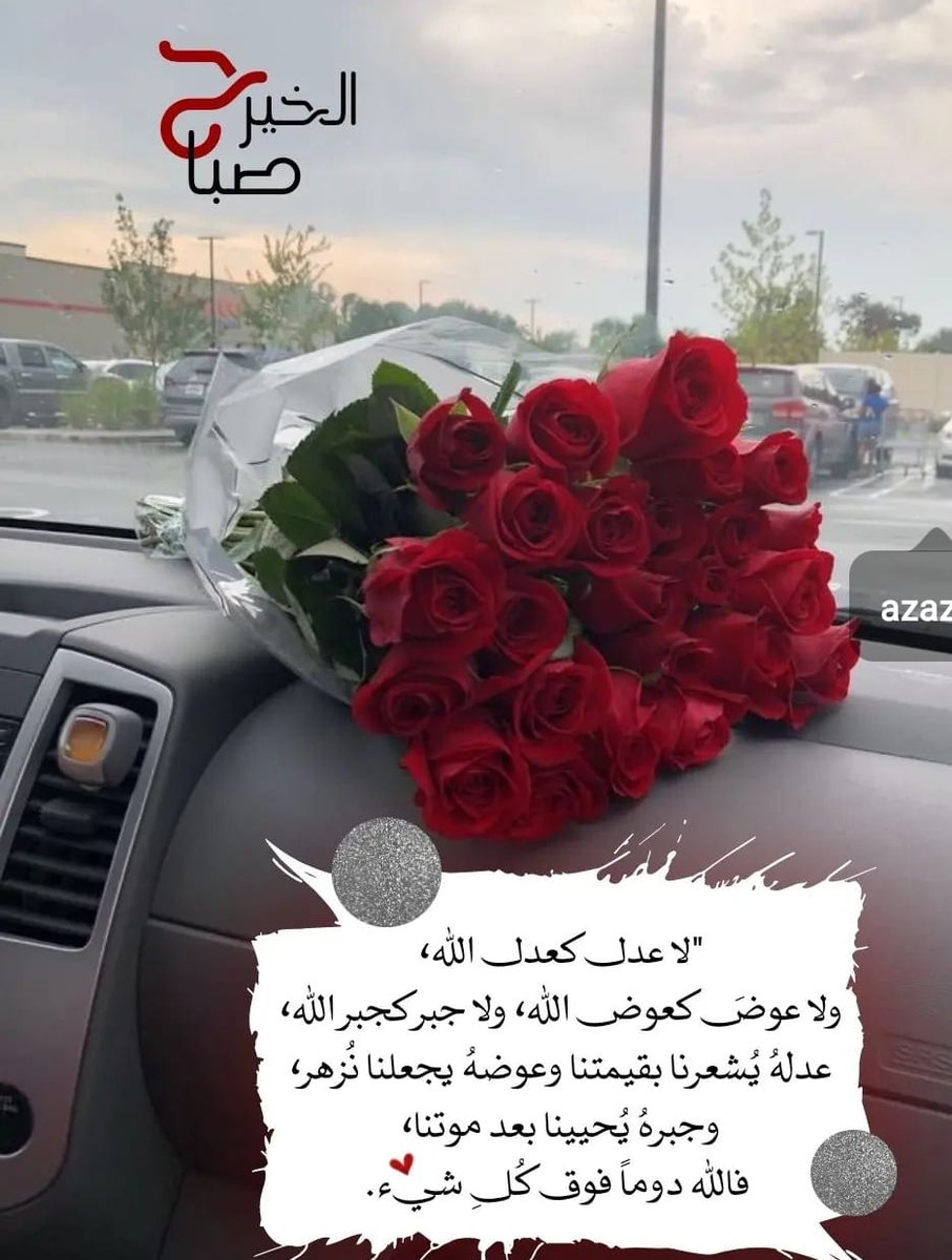 صباح الخير ثُمّ قلباً سليماً يا الله ورضاك عنا أينما ذهبنا وكيفما كُنا✨

. #صــباحكم_الله_بالخير