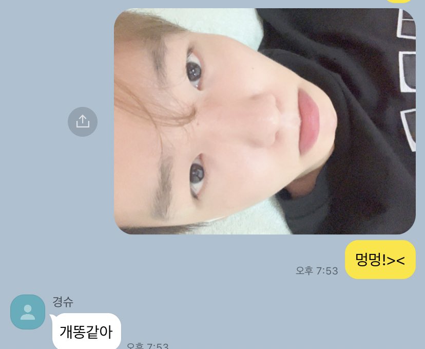 오백 카피페 tweet media