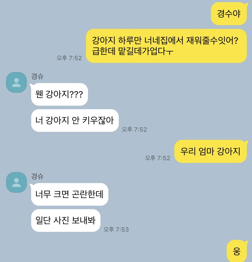 오백 카피페 tweet media