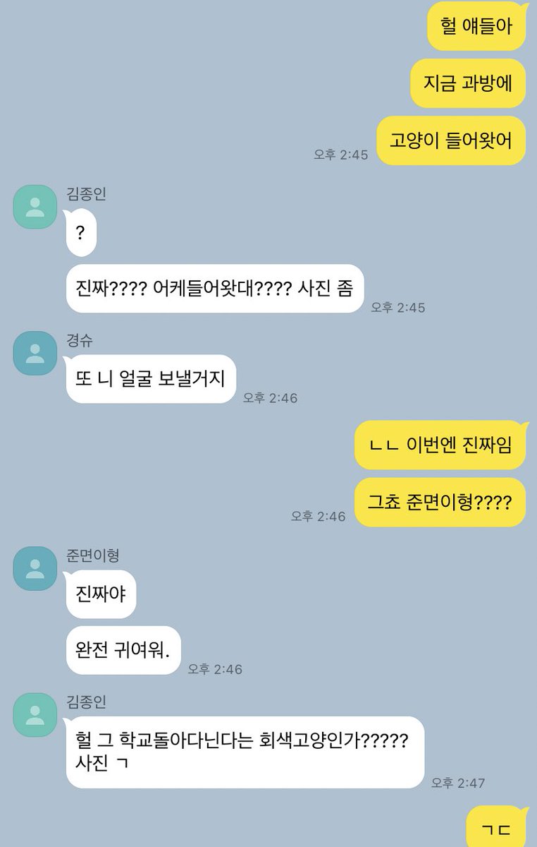 오백 카피페 tweet media