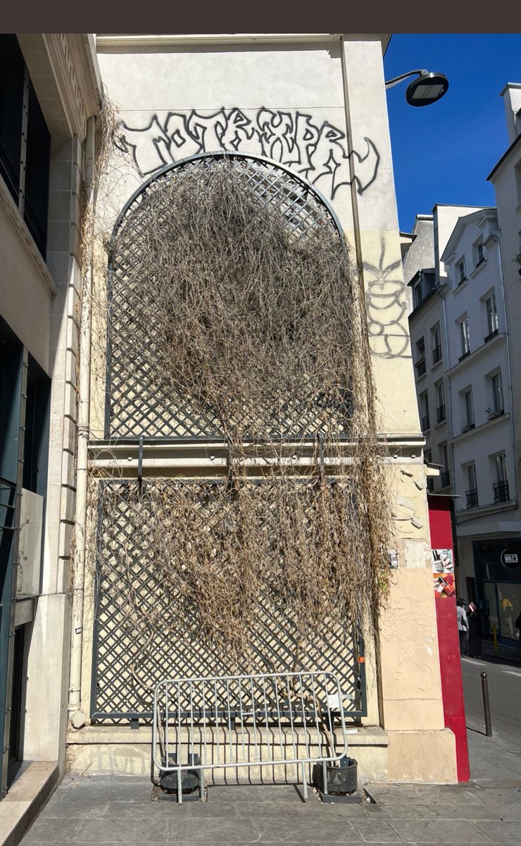 eric56148256's tweet photo. @David_Belliard Les espaces végétalises ne sont pas entre tenus https://t.co/yycE46o3ZG