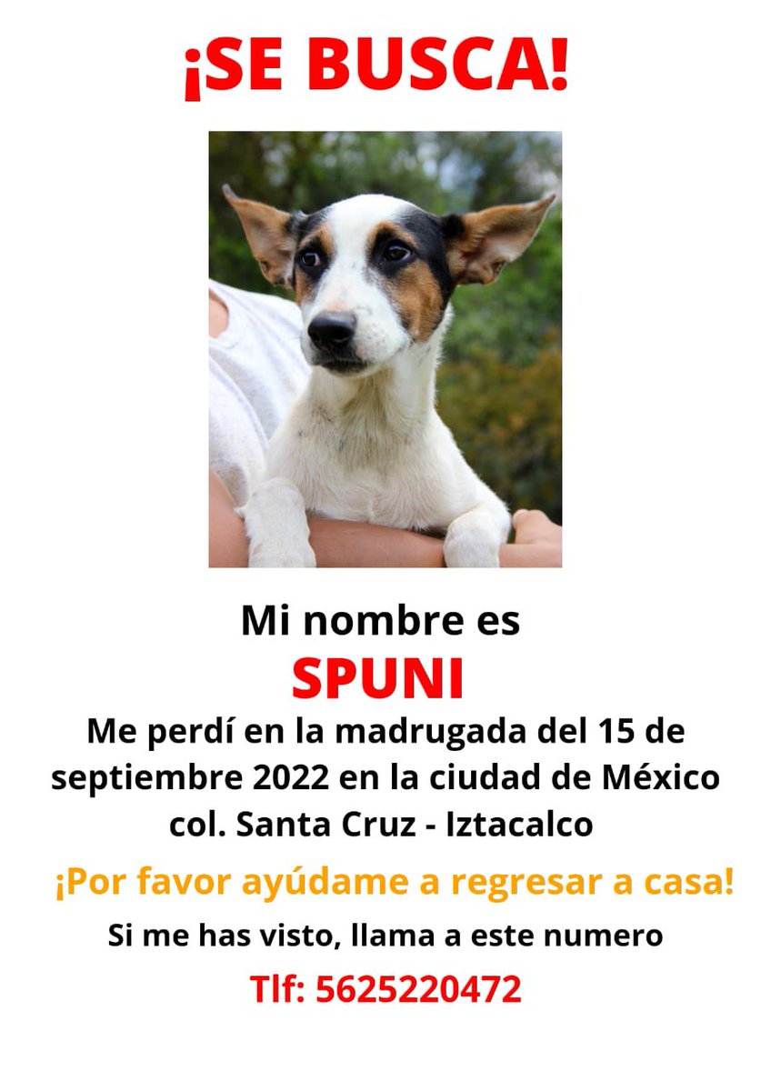 IvanNavaMx's tweet photo. Les prometo que es la ultima noche, se que estoy cansado y que eventualmente desfalleceré, pero mientras ayúdenme por favor. #RT #AyudanosAAyudar #GraciasPorElApoyo #GraciasPorTodo #RescateAnimal #IvanNavaMx #CDMX #AdoptaNoCompres #perros #Mexico #PerritosDeLaCalle https://t.co/4aaVPZ2FQX