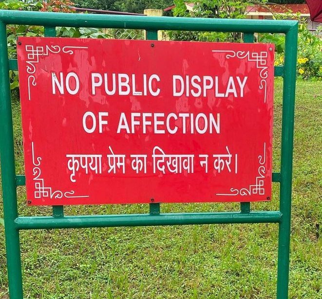 shibhhuu's tweet photo. Need this in my college campus ASAP https://t.co/LabJO50dis