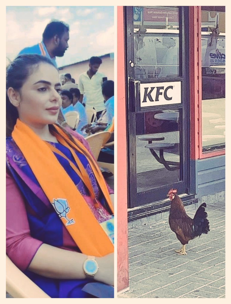jalabulajungg's tweet photo. "KFC க்குள் போன கோழியும்...பாஜகவுக்குள் போன தோழியும்..முழுசா திரும்பி வந்ததா சரித்திரமே கிட்டையாது"...🤭🤭🤭 https://t.co/uS956c8wKf