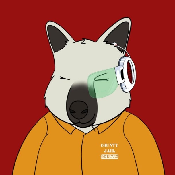 BlaziNThrashR's tweet photo. Well my cross faded self decided to join the @RooTroopNFT Had to bid higher than asking price for this beauty, but fits my personality so a must. #RootyRoo

Where da weed at? @MorganStoneee https://t.co/gVQGr6XyHL