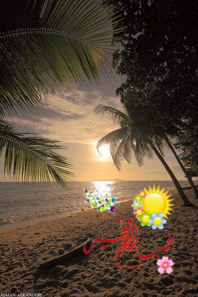 راعي الردى لاتجبرونه على الطيب
العبد ماله غيرمالله كتبه له
اشهد شهادةحق مدح الردي عيب
مثل الصلاه الي  على غيرقبله