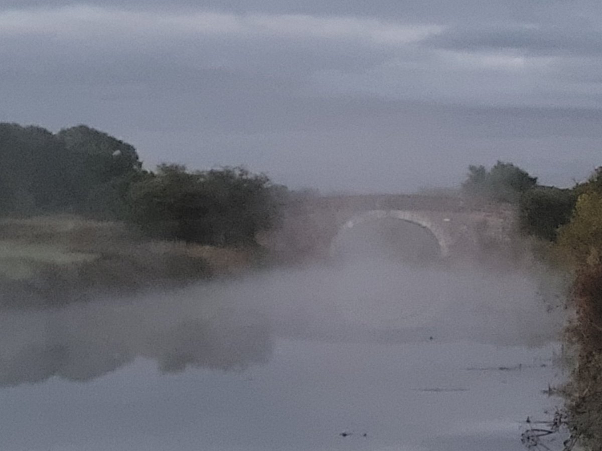 Early morning views of the musty sunrise 🌅 over the L&amp;L #boatsthattweet #narrowboat_jackthelad