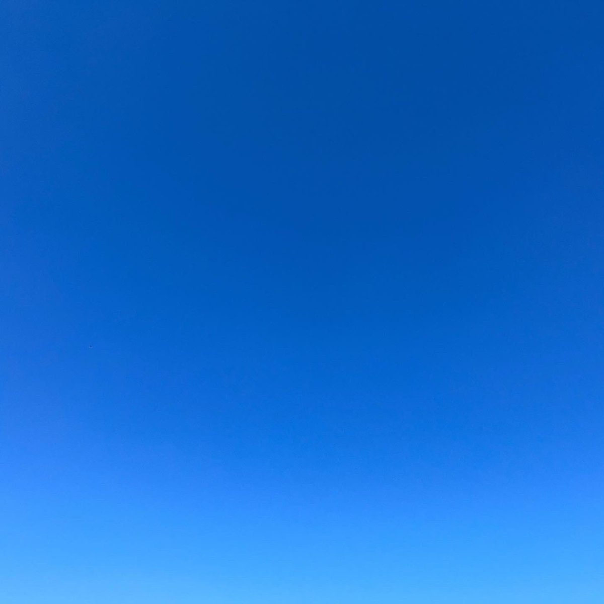 nadesign's tweet photo. 走るデザイナー
温度も湿度も気持ちいい晴れ!
Today's #applemusic is #shogohamada
Ran 8.68 km with the #NRC
#adidas #adidasrunning #adizero #adizeroadiospro #JustDoIt #running #runner #runners #nikerunning #applewatch #beats #beatsfitpro https://t.co/rPpnC9ZVII