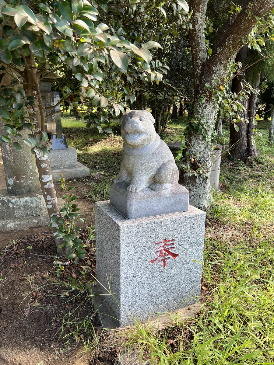 松井 tweet media