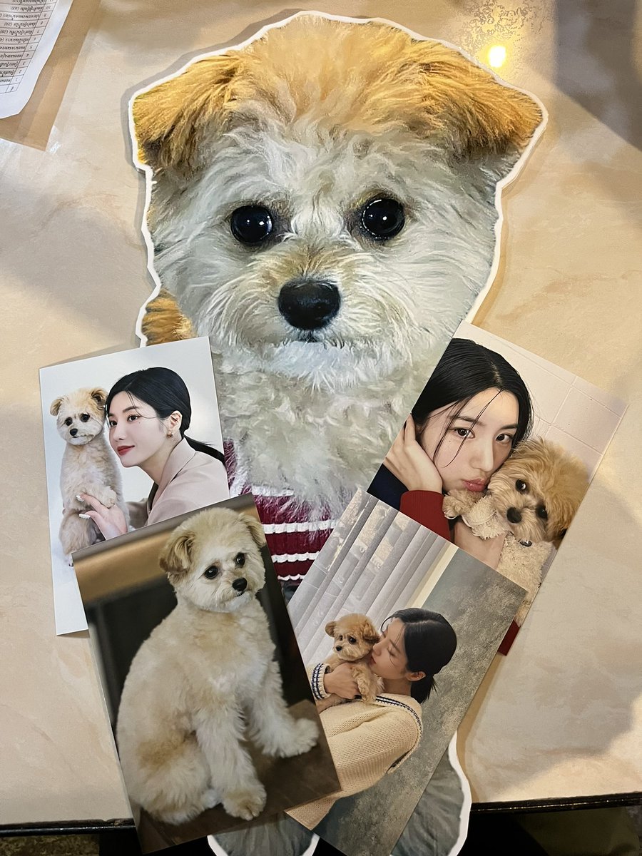 ziizapuma906's tweet photo. บอกแล้วว่าเสร็จเรา 😂😂😂😂😂 #HappyEunbiDay #LovelyEunbiDay https://t.co/apyl55Jkb7