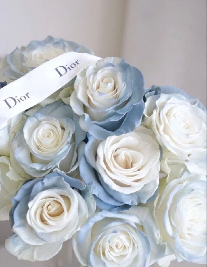 SelectOutfit's tweet image. roses