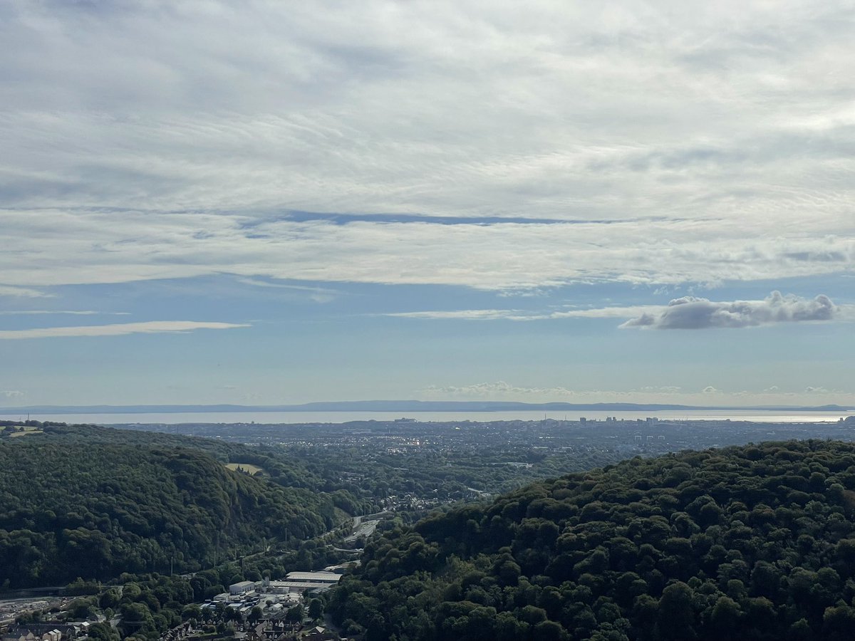 Mike Castellini tweet media