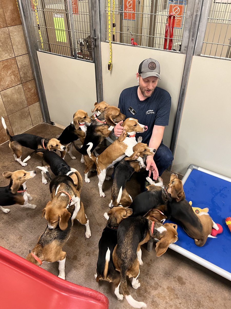 Arin Greenwood tweet media