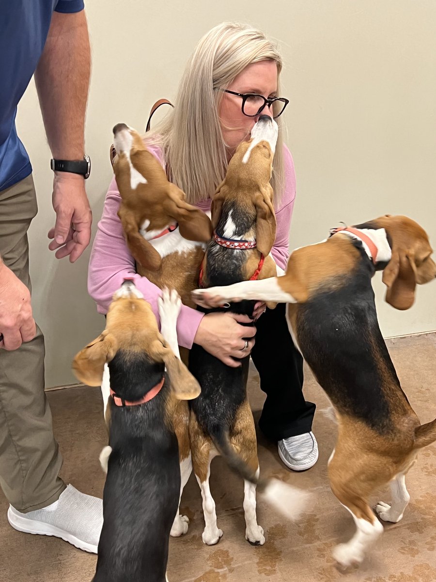 And here they are! The rescued beagles met Snoopy at a <a href="/SpokHumaneSoc/">SpokaneHumaneSociety</a> adoption event held at a local PetSmart. Lots more great pics of happy, swarming beagles in here, too

facebook.com/SpokaneHumaneS…

Thanks <a href="/A_GoldPhoto/">Adam (AGoldPhoto)</a> for tracking this down!