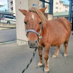 ツイートに含まれる画像