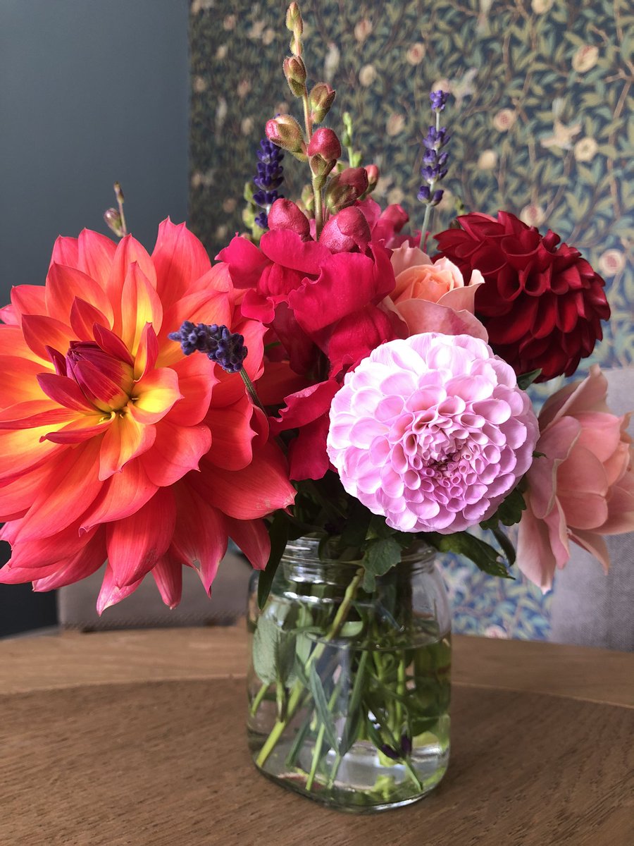 jasper_novel's tweet photo. Freshly picked flowers from my garden 🌺🌸. I’ve always loved the idea of growing ‘cutting flowers’ for the house, so I planted these earlier in the summer. Now we’ve had the rain, my late summer blooms are looking glorious! #WritingCommunity #lovemygarden https://t.co/iFoM6kAaxn