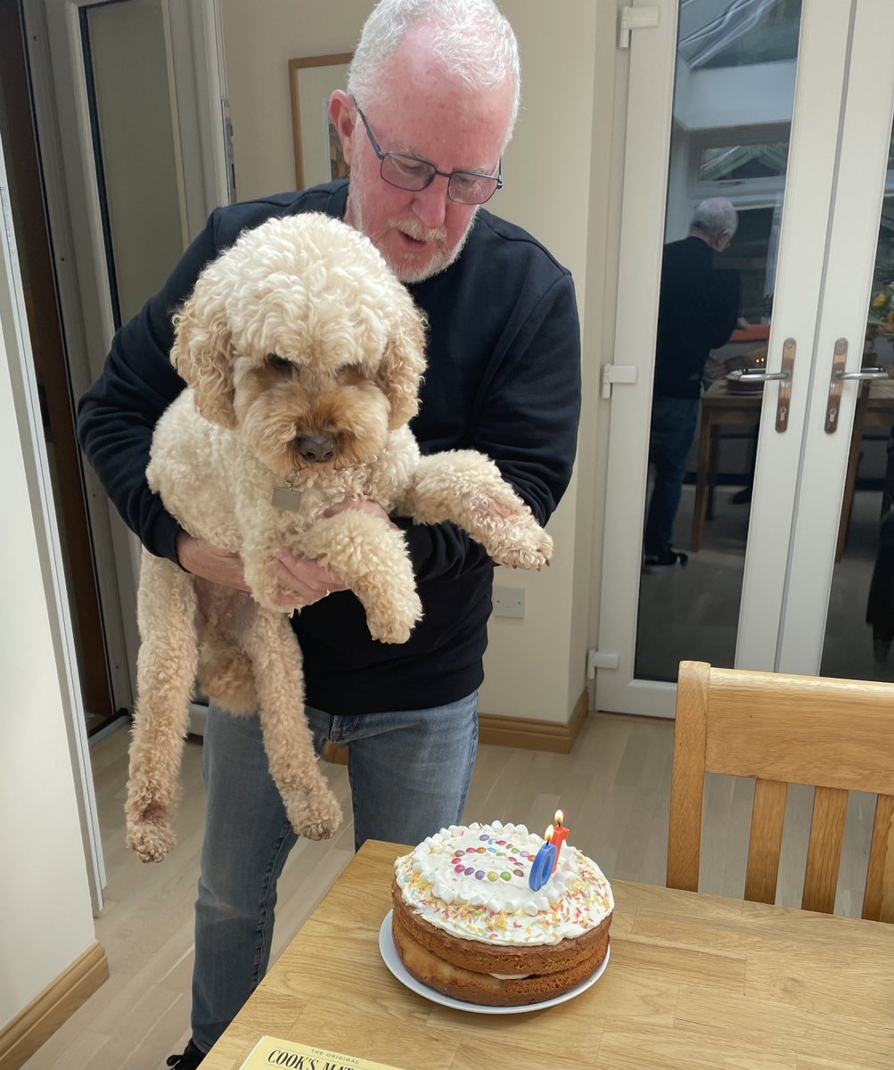 mariacwalker19's tweet photo. Not one to tweet these days…but it’s not every day a dog has his tenth birthday. Happy Birthday Barney!! https://t.co/TLKV6wuoPB