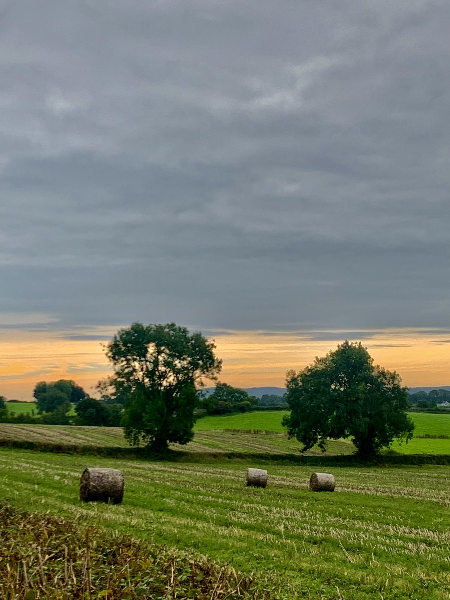 DrChrisLukeCork's tweet photo. Autumn in South Tipperary

“Season of mists and mellow fruitfulness, 
close bosom-friend of the maturing sun…”

#Tipperary #KilkennyBorder #ToAutumn #JohnKeats 
#UCD82  #medicalschool #40threunion https://t.co/L5fapafq4T