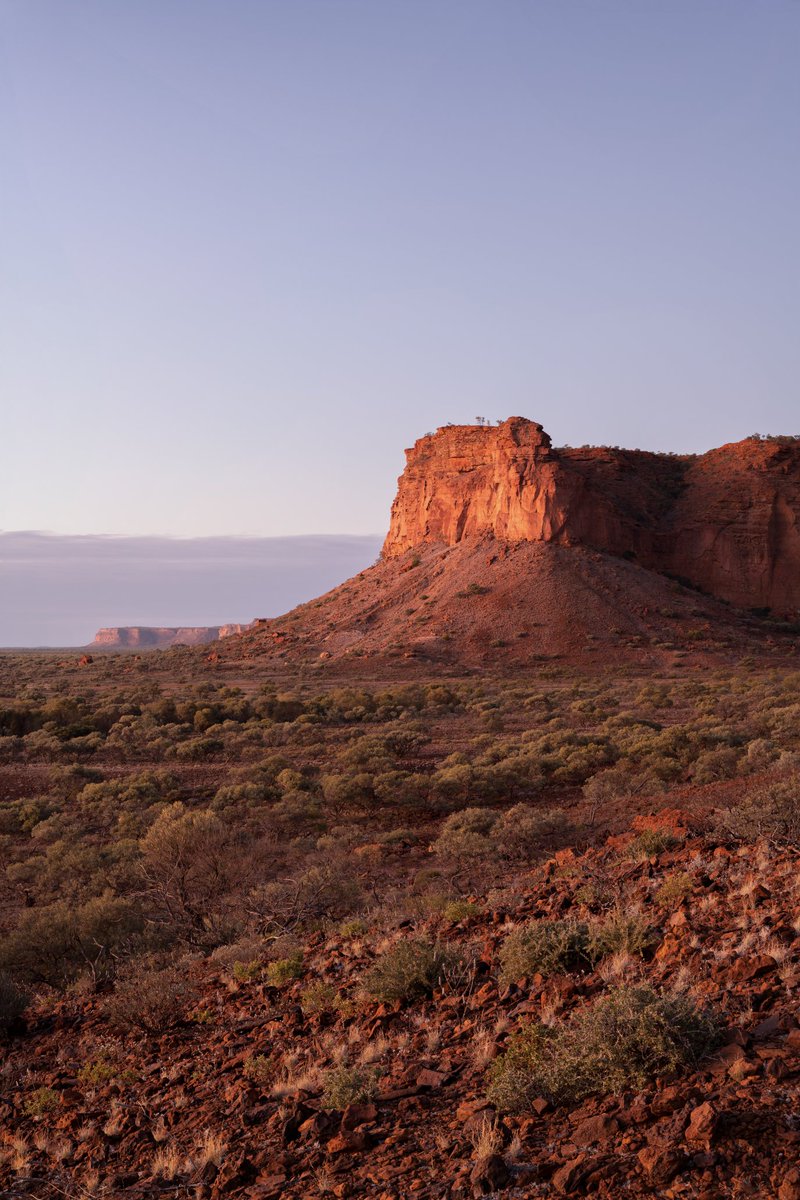 NATUREBYNATHAN's tweet photo. Daybreak in the Western Australian desert.

The towering sandstone hillsides of the Kennedy Range National Park glow in all shades of red to orange, as the sun lifts above the horizon, and the birds sing to celebrate a new day in the outback!

#kennedyrange #landscapephotography https://t.co/gzwAIUX164