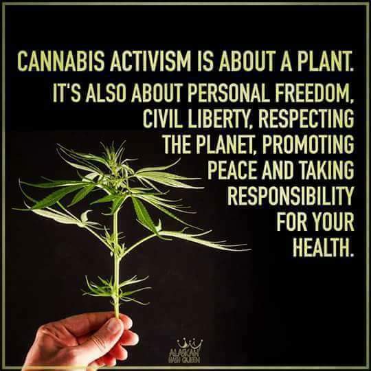 VenusHeard15's tweet photo. @CannaWorld4 I've been talking 👄 about this https://t.co/wOhZu4A8Y7