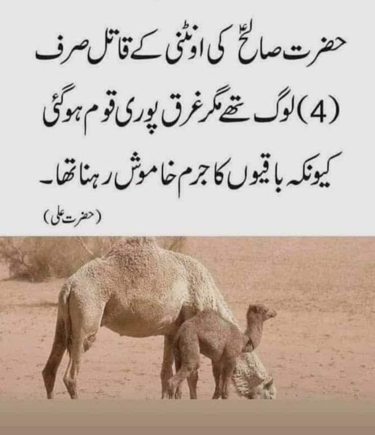 Rana Abrar Hussain (@abrar0300877772) on Twitter photo 