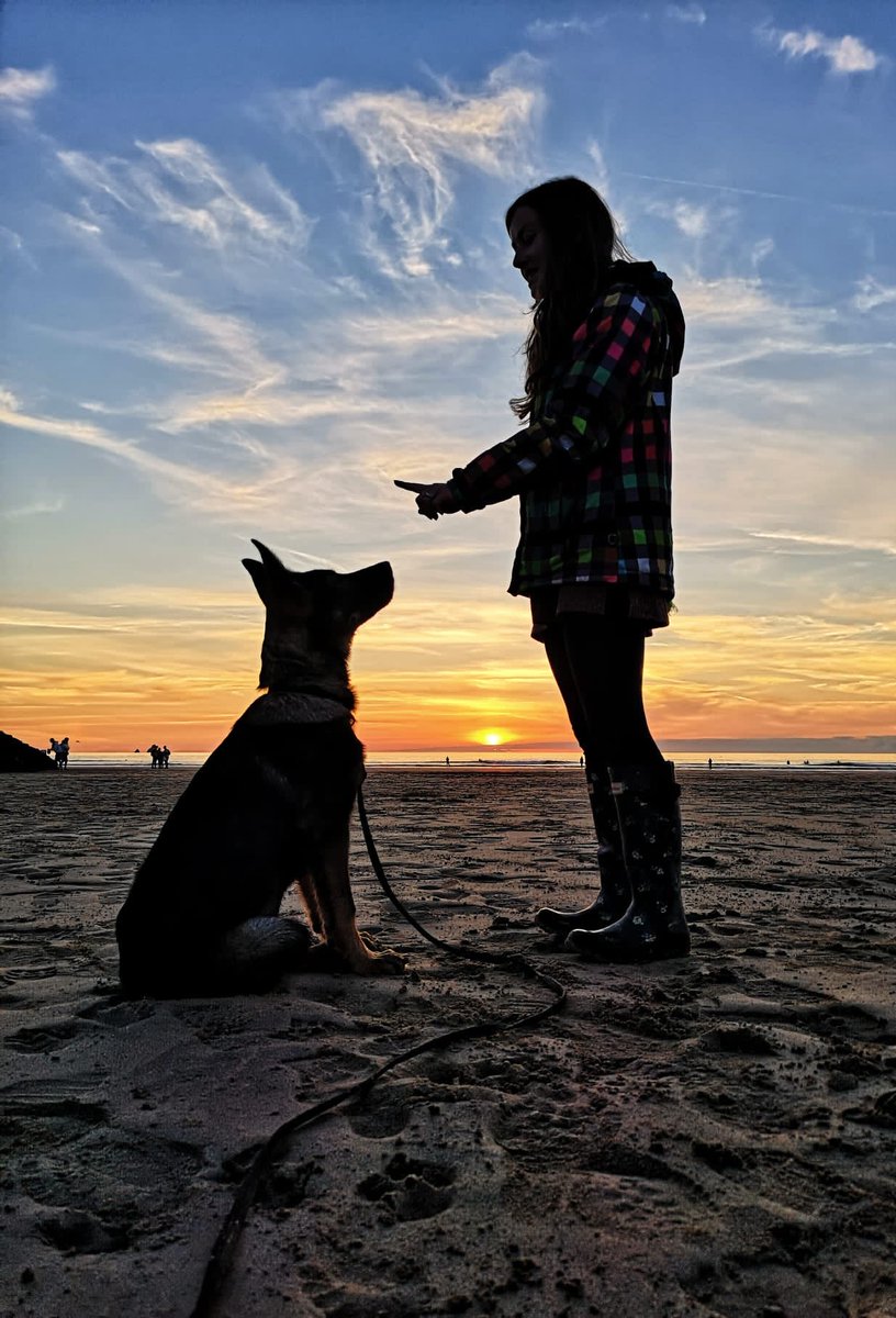 DC_PoliceDogs's tweet photo. Beautiful picture of TPD Bruno down at the beach with Tanya and Jamie https://t.co/NpAKkwQ7DT