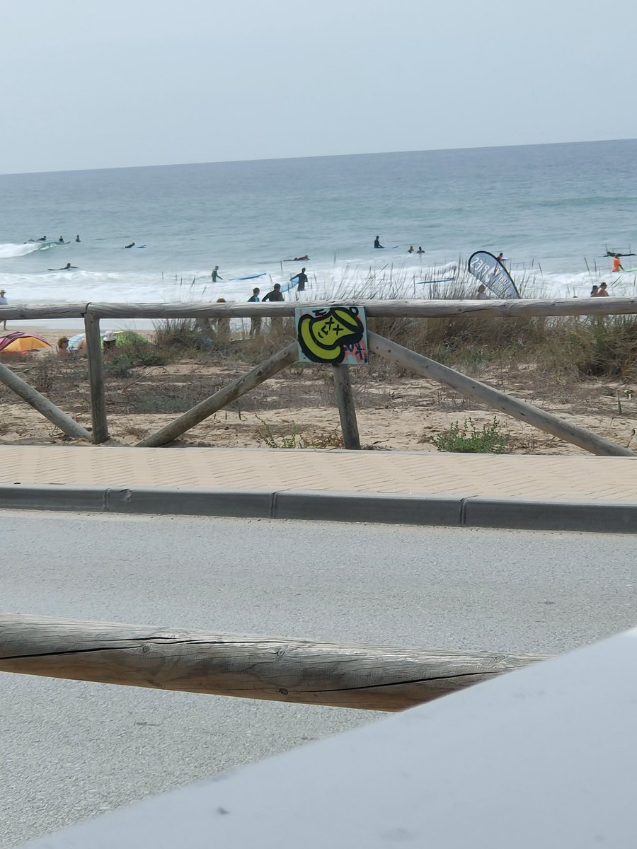 OldSFC72's tweet photo. @diariocadiz @vejer_frontera pues que le digan al chaval que cuando termine allí que venga también al Palmar a seguir limpiando SU muerda https://t.co/JWkW2jjI6b