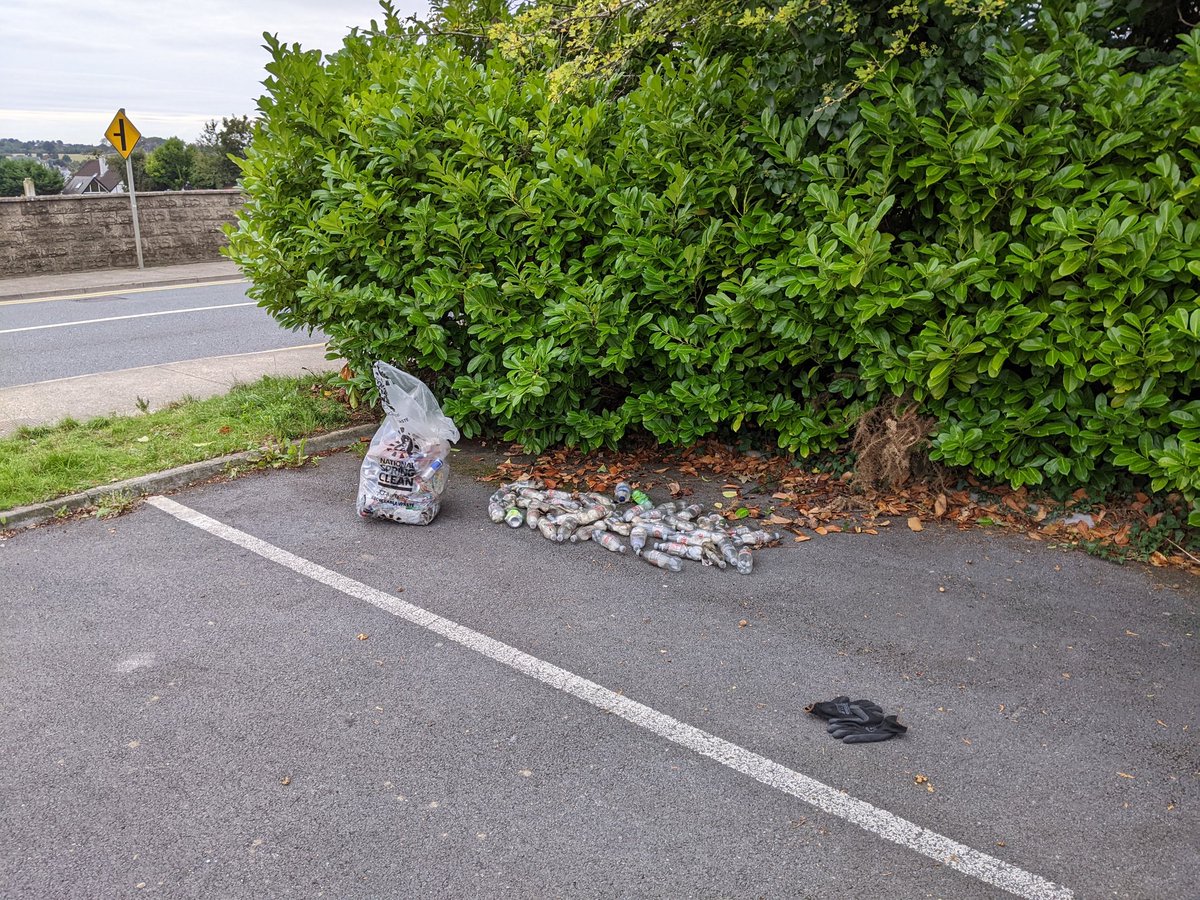 JonoKong's tweet photo. Hard 2 fathom how someone can throw 40 diet coke bottles in ditch at cemetery carpark. that's a litter bug for you! Plenty of evidence for council to follow up on! @wexfordcoco #enniscorthy #litter #wexford #binitplease CCTV badly needed at hotspots https://t.co/m5TgV1ZNbc