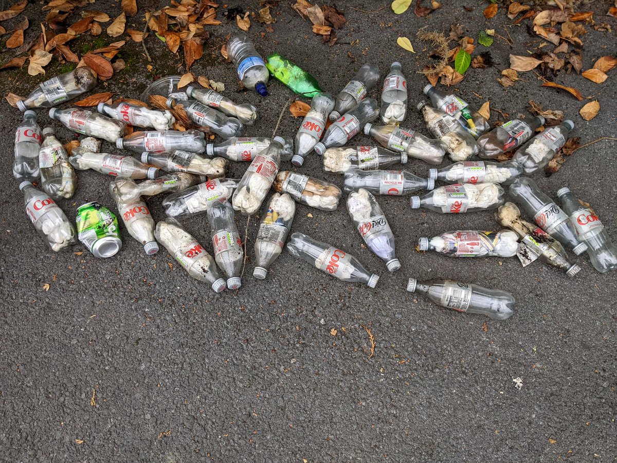 JonoKong's tweet photo. Hard 2 fathom how someone can throw 40 diet coke bottles in ditch at cemetery carpark. that's a litter bug for you! Plenty of evidence for council to follow up on! @wexfordcoco #enniscorthy #litter #wexford #binitplease CCTV badly needed at hotspots https://t.co/m5TgV1ZNbc
