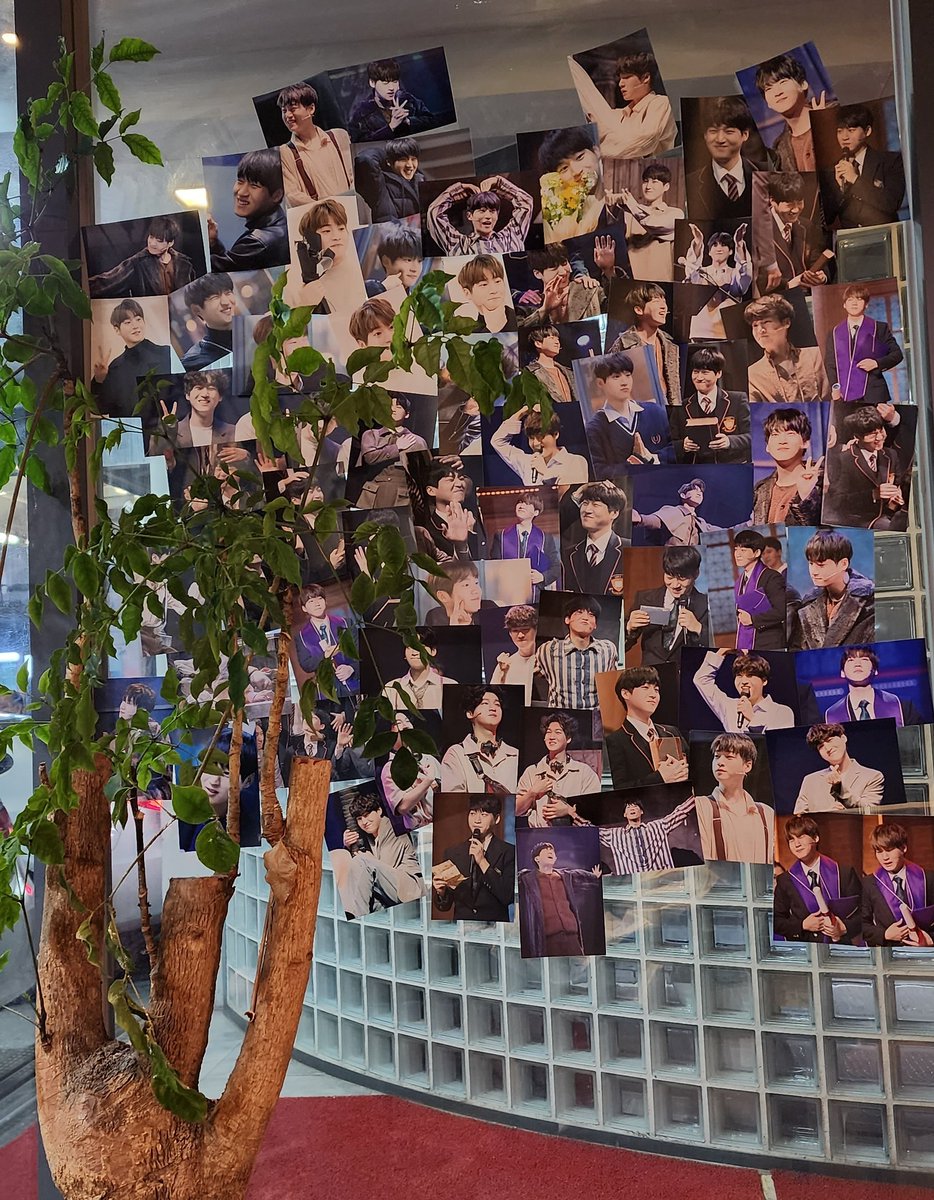 Rimember_cafe's tweet photo. ✳ʀɪ,ᴍᴇᴍʙᴇʀ✳

카페 이벤트가 마무리 되었습니다 !
지난 2주동안 찾아와주시고,
배우님을 응원해주신 마음 모두 감사합니다.
배우님도, 여러분들도 모두 행복하시길 바랍니다 🌝 https://t.co/wAjaxWlOPt
