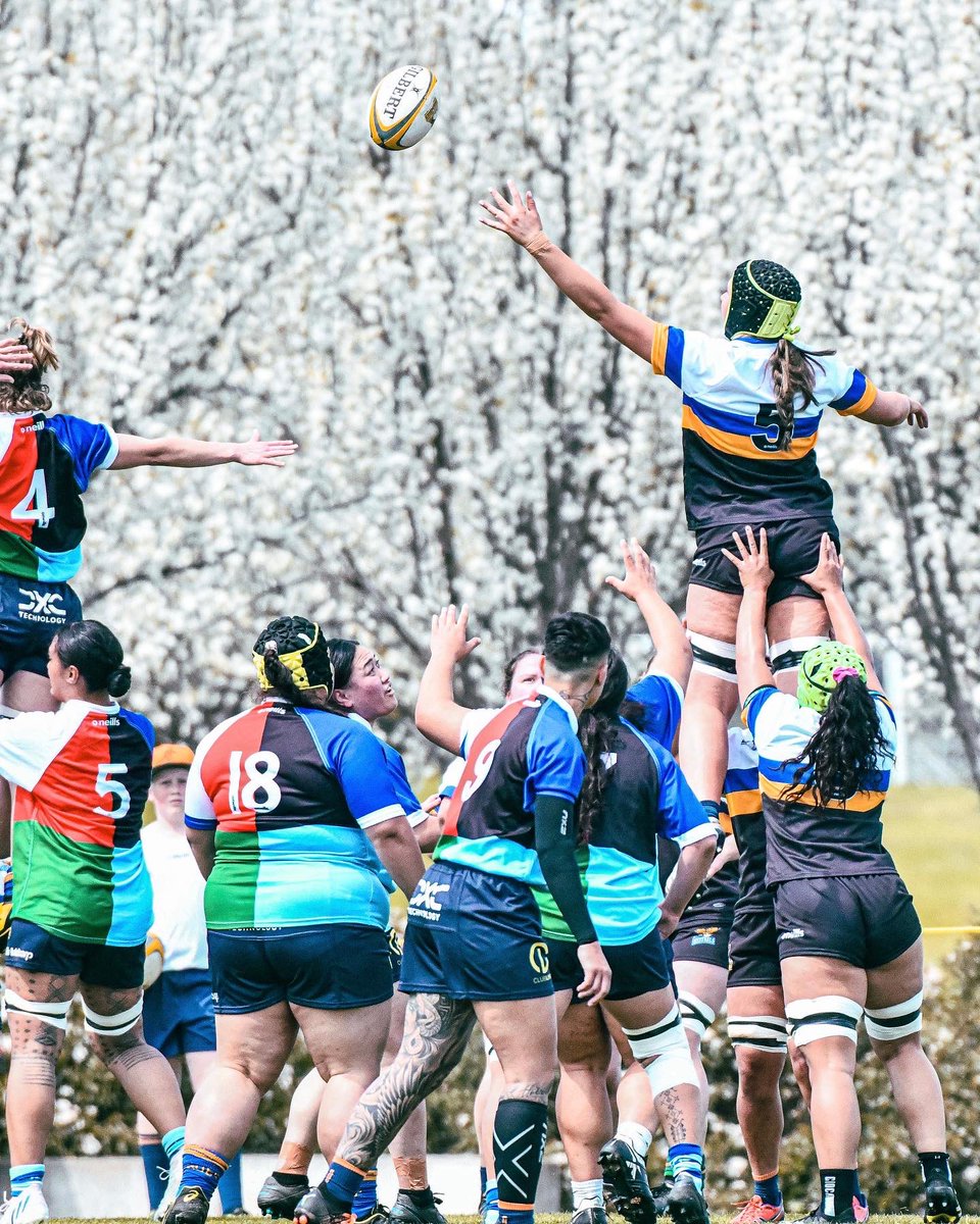 BrumbiesRugby's tweet photo. 🐴// ACT and SNSW Kestrels vs Presidents XV! https://t.co/omPDJpErAB