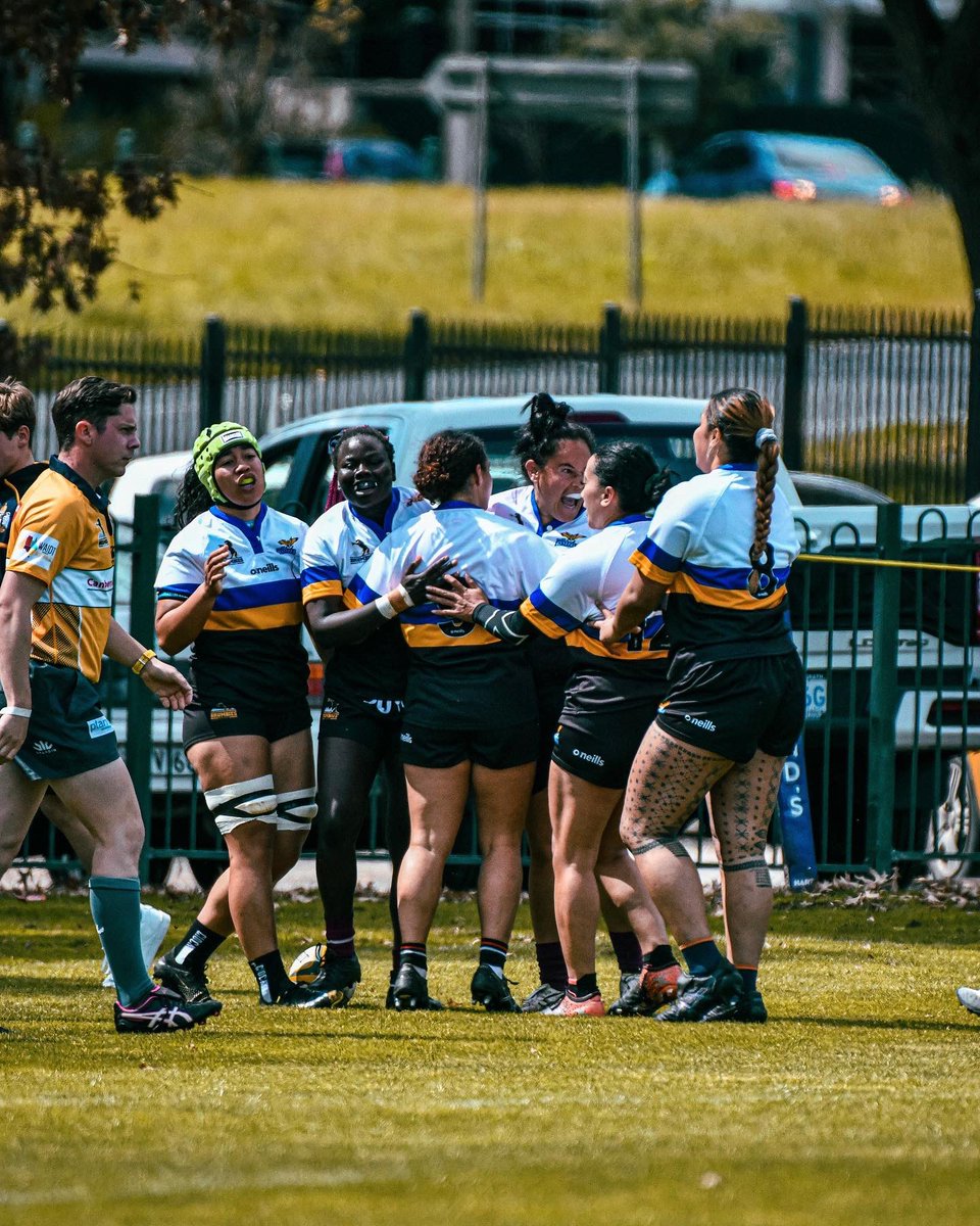 BrumbiesRugby's tweet photo. 🐴// ACT and SNSW Kestrels vs Presidents XV! https://t.co/omPDJpErAB