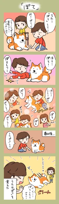 「ぽて」
うちではゴローンと寝転ぶ事を「ぽて」と呼んでいます😂(ほとんど私しか使ってませんが😅)
最近はぽてをしたら撫でてくれると覚えたみたいで、ぽてついでにお腹を出すようになりました🤣

手を組んで伏せしてる所もプチ見所です…🤭
#漫画が読めるハッシュタグ 
#漫画
#ペット 