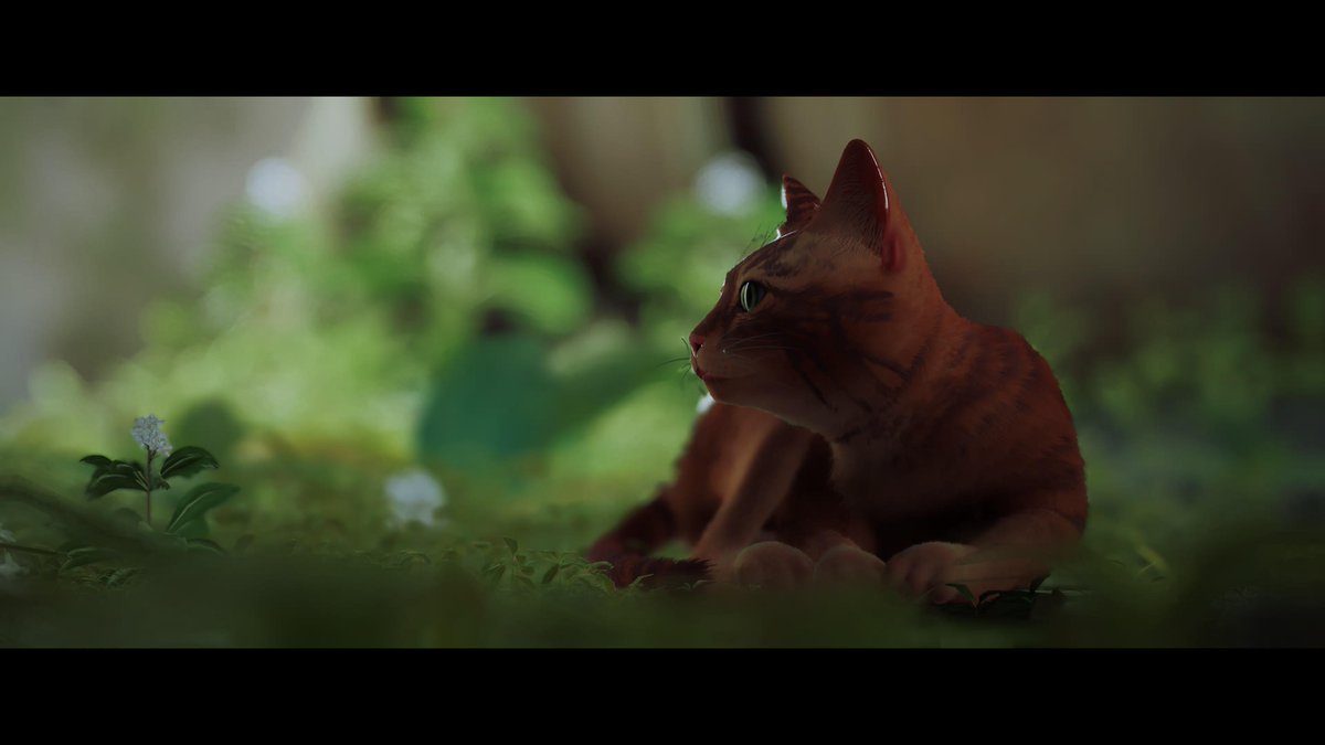 VTA_VN's tweet photo. #PS5Share, #Stray https://t.co/1ARl6TJWmk