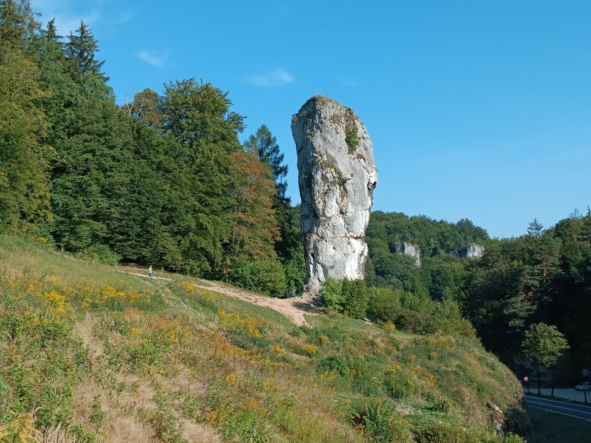 McKindle's tweet photo. Maczuga Herkulesa in Poland's Ojcow National Park looks like a monument to a #Glukkon to me @OddworldInc #oddworld #soulstorm https://t.co/iTwSZiJNK7