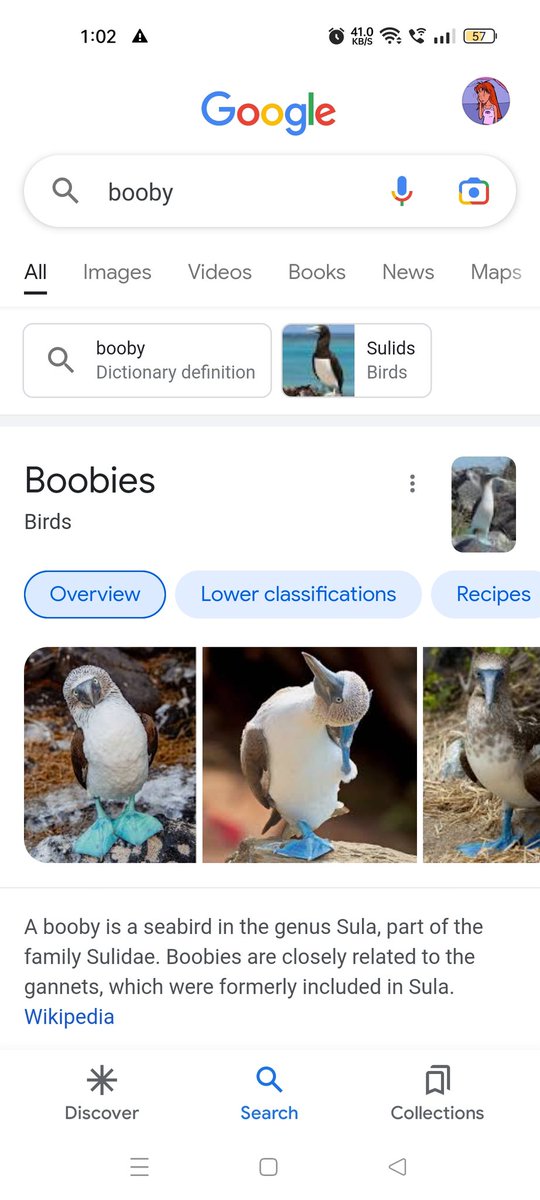 tippy_tapps's tweet image. Kon haramkhor name rakh raha h