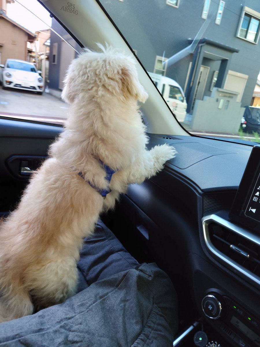 Dope0411's tweet photo. まだ昼は暑いねー
そして窓のとこ傷だらけ https://t.co/4rfuzsxHiR