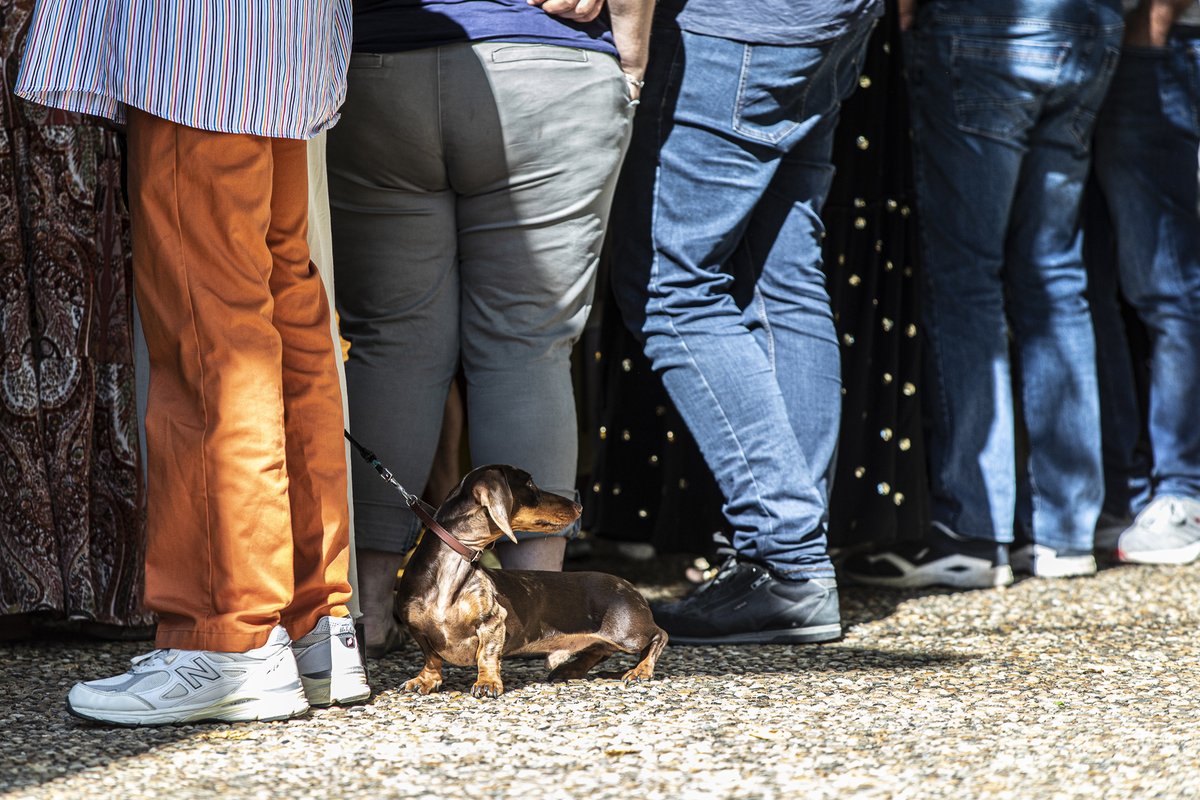 oneday_onephoto's tweet photo. #unjourunephoto septembre 2022  #feteprivee une vie de chien. https://t.co/r2ObGl4LVS