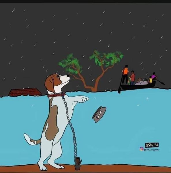 Don't leave your pets in cage or chains. Release them if you can't take them with you. They deserve to survive too.

#KardingPH