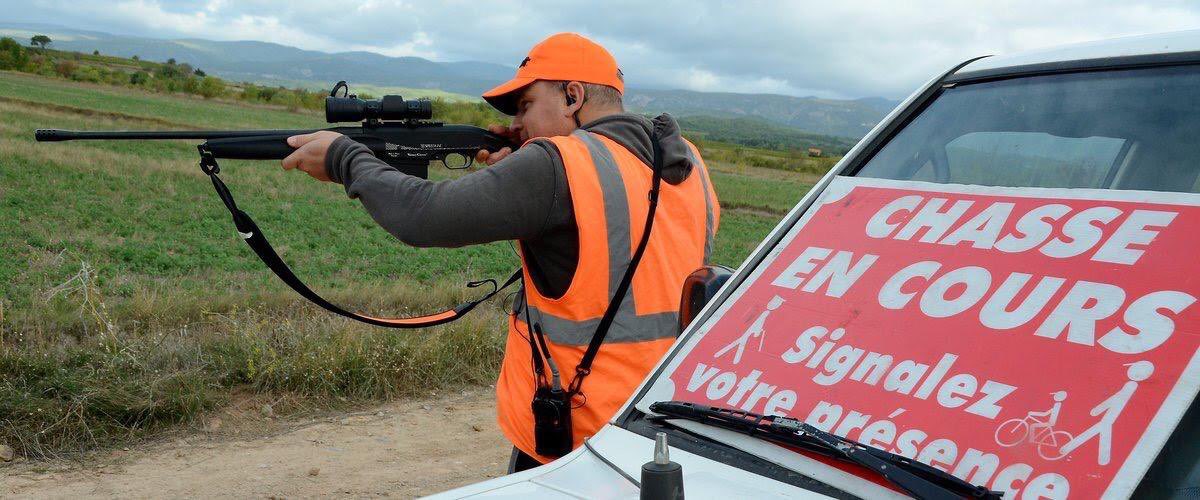 PartiAnimaliste's tweet photo. Malgré les canicules, la sécheresse et les incendies, c’est l’ouverture de la chasse. Des millions d’animaux seront traqués, blessés et tués, les habitants des zones rurales pris en otage et l'environnement pollué par le plomb. Cette situation n'a que trop duré. https://t.co/rm6gP9K59l