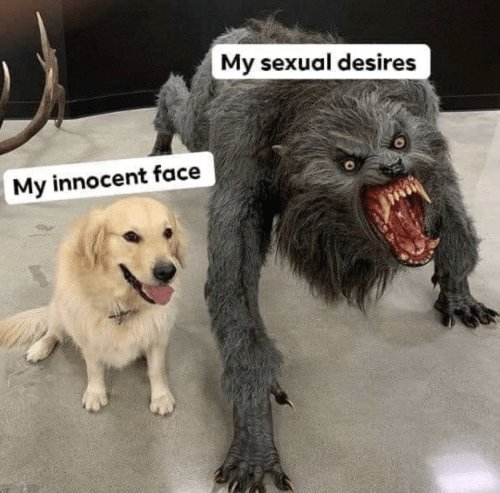 😅 https://t.co/D8t7X7sbkf<a href="/tag/xhamster"class="tags"><span>#xhamster</span></a>