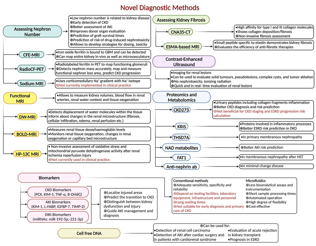 nefroloji's tweet photo. Novel strategies in nephrology: what to expect from the future?
https://t.co/dyTPfcsyBX https://t.co/du2HDj35ja