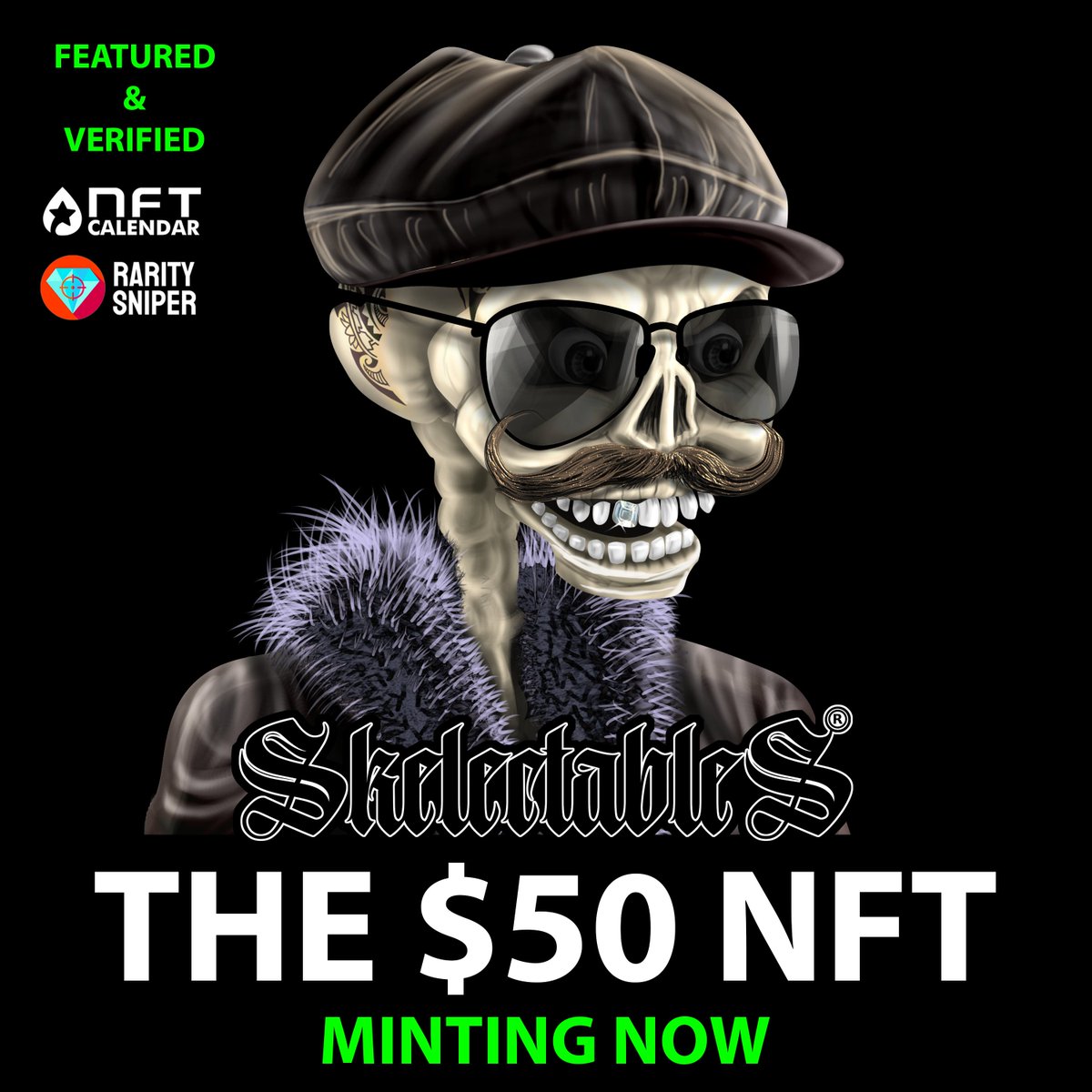 Skelectables NFT 💎 tweet media