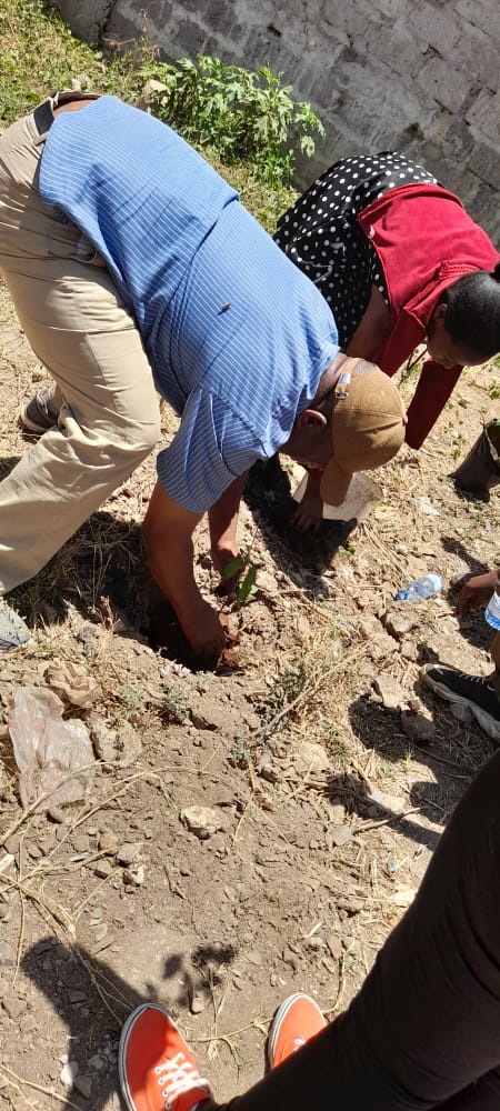 FMF_Kenya's tweet photo. Workshop Day3. Promoting social cohesion through tree planting at Bondeni primary school Kayole. 
#MyEnvironmentMyResponsibility 
Commiting to a peaceful, greener and cleaner environment
#ClimateAction
#ClimateWeek2022 

@NCIC_Kenya @FMF_Kenya @UNDPKenya @KenyaYwca https://t.co/t17aFhI41C